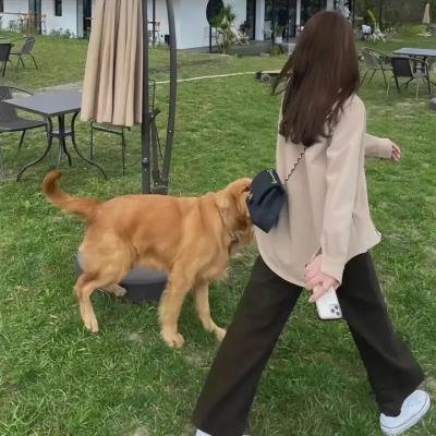 逃狱寻春